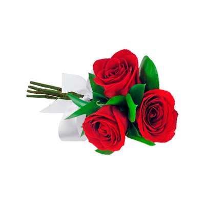 3 Rosas Importadas